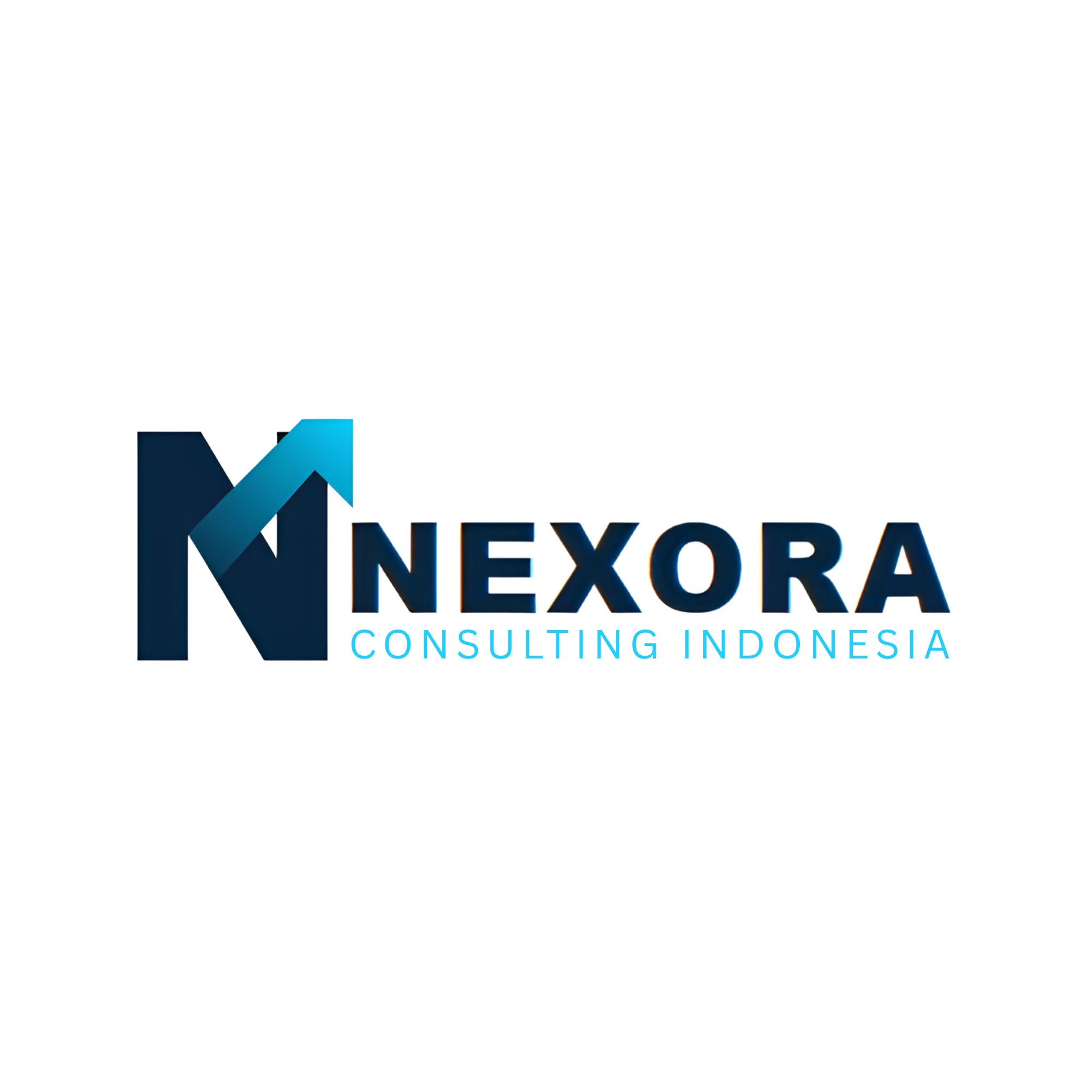 Preview Nexora Consulting